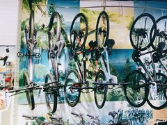 -GIANT捷安特自行车专卖店(金桥台儿庄路店)