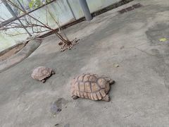 -厦门园林博览苑