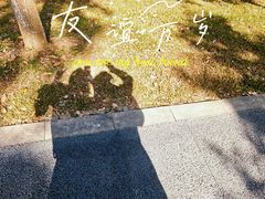 -东莞植物园