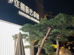 -罗红摄影艺术馆