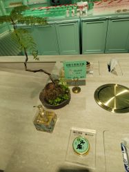 -青稚护手霜QINGZHI