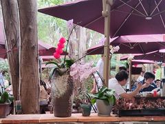 -园林美食城·本土农家菜(杨和镇店)