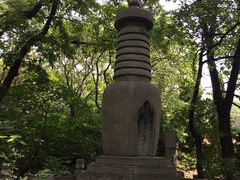 -皇藏峪国家森林公园