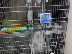 -安安宠医宠物医院·异宠·犬猫内科(岳阳分院)