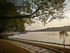 -南国桃园旅游度假区