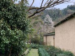 -法云安缦酒店