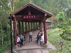 -重庆彩云湖湿地公园