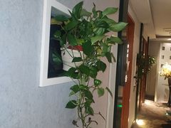 -世外桃源水疗会(皇庭彩园店)