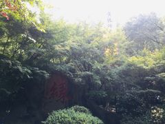 -杭州黄龙洞