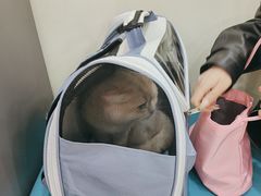 -天宠宠物医院24小时·急重症诊疗中心·全科·腔镜特色(和平分院)