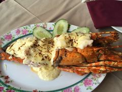 -Red Lobster