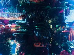 -迪拜帆船酒店海底餐厅