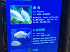 -波塞冬海底世界