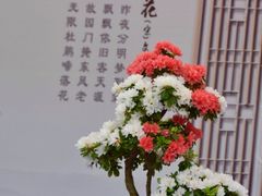 -上海方塔园