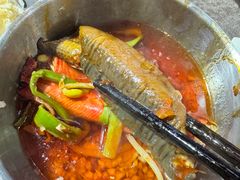 -铜元老码头鳝鱼火锅