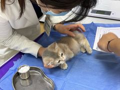 -美联众合动物医院·24h京西诊疗中心
