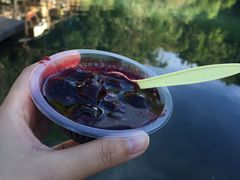 胭脂酸果-蔺大妈松花糕