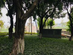 -重庆市江北嘴中央商务区中央公园