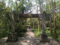 -紫金山山顶公园