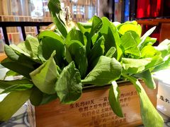 生烫鸡毛菜-卢大鲜鱼头捞饭(美利广场店)