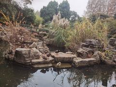 -东湖落雁景区