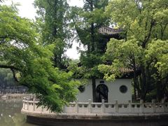 雅致-汇龙潭