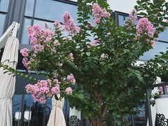-王府井文华东方酒店-紫膳餐厅