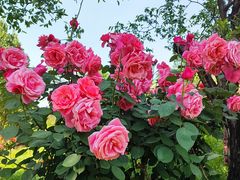 -郑州中国绿化博览园