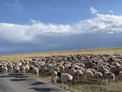 -新疆那拉提国家旅游度假区