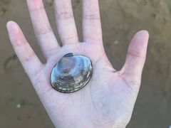 -威海国际海水浴场旅游区