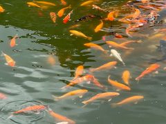 -长春市南湖公园