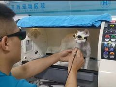 -西安京西宠物医院·瘫痪·疑难杂症