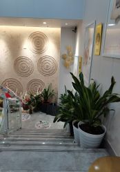 -尚艺造型.剪烫染.接发