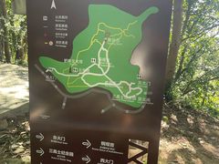 -上海佘山国家森林公园天马山园