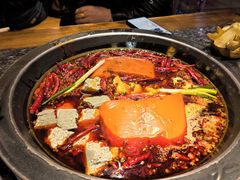 -蜀大侠火锅(总府路店)