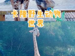 -广州长隆野生动物世界