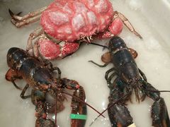 -盒马鲜生(莱蒙都会店)