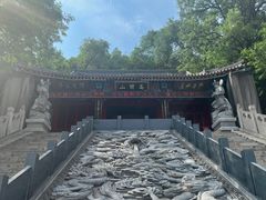 -高尔山公园