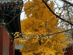 -承恩寺