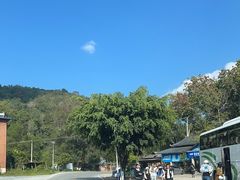 -野象谷景区