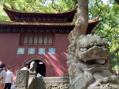 -普陀山风景名胜区-法雨禅寺
