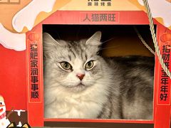 -烤匠麻辣烤鱼(IFS店)