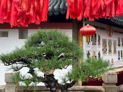 -西林禅寺