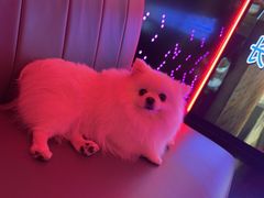 -星聚会KTV(上海松江万达店)