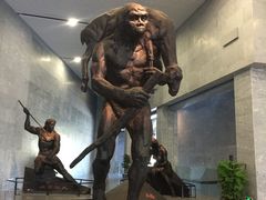 -北京周口店北京人遗址博物馆