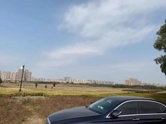 -苏州湾体育公园