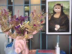 -喵屿·大理花园猫咖