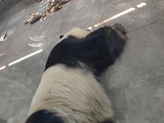-无锡动物园·太湖欢乐园