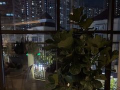 -浅深Cheersum(曹杨店)