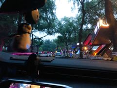 -枫花园汽车电影院(朝阳公园店)